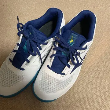 미즈노 테니스화 블레이크샷 5 와이드 CS 카펫 코트용 26.5cm