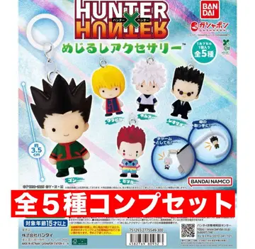 HUNTER x HUNTER 메지루시 액세서리 전 5종 컴프 세트