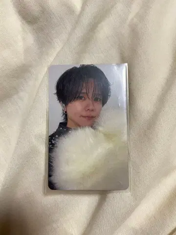 후지마키 쿄스케 트레이딩 카드 메일 회원