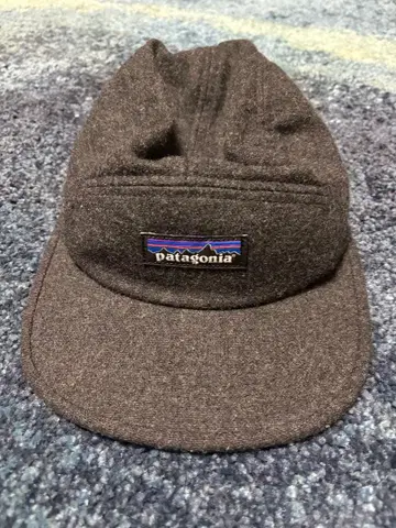 patagonia 캡 그레이