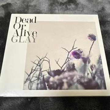 GLAY [ Dead Or Alive ] 싱글