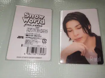 Snow World 라울 흘긋 보기 카드 2장