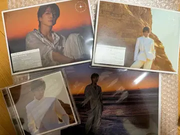 이와타 타카노리 SPACECOWBOY 4 형태