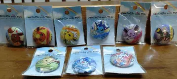 포켓몬 with YOU 핀 배지 이브이 9개 세트