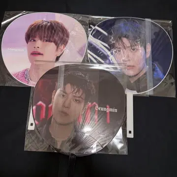 [ Stray Kids ] 부채 승민