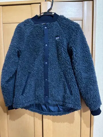 파타고니아 보아 블루종