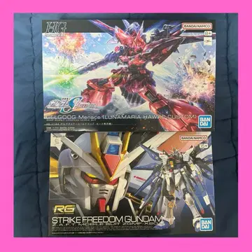[ 미조립 ] HG 게르그그메나스 + RG 스트라이크 프리덤 건담