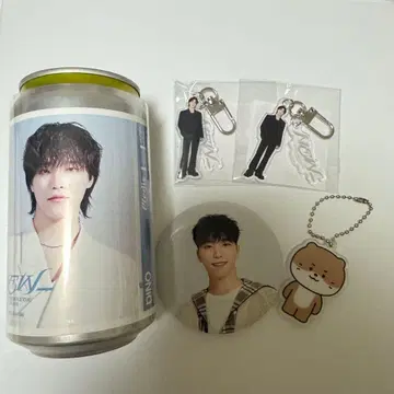 SEVENTEEN 아크릴 키링 캔뱃지 등 세트 디노