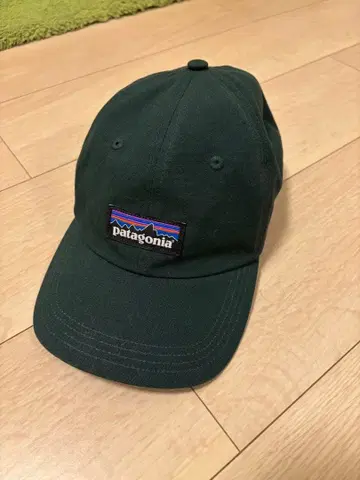 파타고니아 캡 그린
