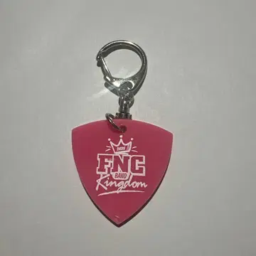 FNCBANDKINGDOM 피크형 키링 Hi-Fi Un!corn