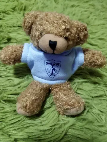 [ 귀중 새상품 ] 페리스 여자대학 곰돌이