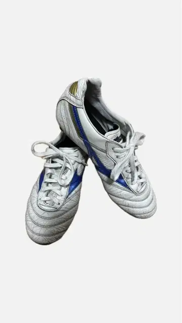 모레리아 2 Japan 한정판 색상