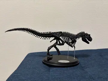 티라노사우루스 골격 모형 블랙