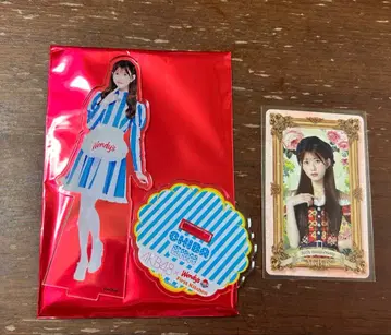 치바 에리 AKB48 웬디스 콜라보 한정판 아크릴 스탠드 덤 포함