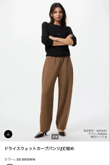 드라이 맨투맨 커브 팬츠 M 브라운