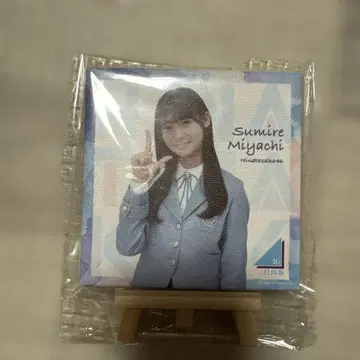 히나타자카46 미야치 스미레 미니 캔버스 보드