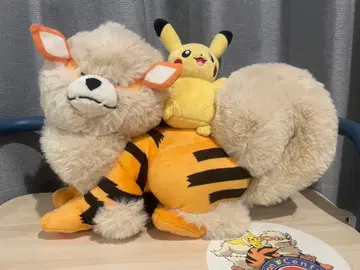 포켓몬 센터 오키나와 피카츄