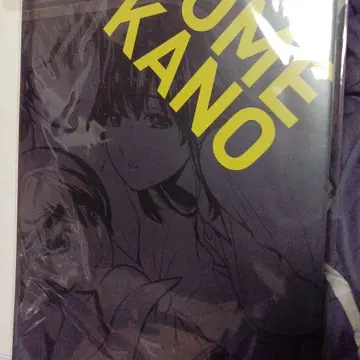 코믹스 [ 도메스틱한 그녀 ] 클리어 파일 4장 세트 미사용 미개봉품