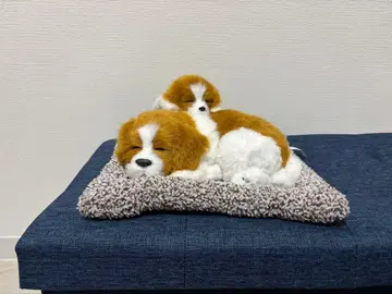 강아지 봉제 인형 자는 모습