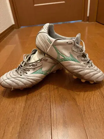 미즈노 모나르시다 축구화 실버/그린