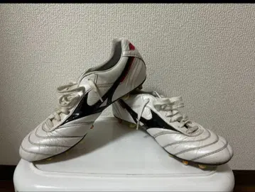 모렐리아 2 JAPAN 교체식