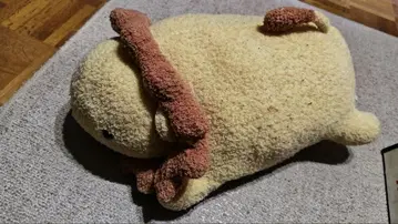 레어템 후릿카 마시마로 테라피 마시마로 피로 라이온