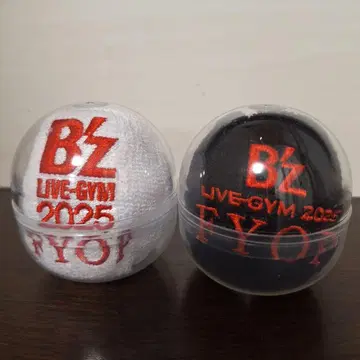 B'z LIVE-GYM 2025 FYOP 리스트 밴드