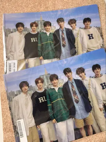 TWS 클리어 파일 2장 세트