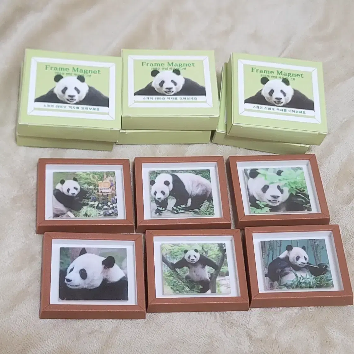 카구야님은 고백받고 싶어 6권 초판 미개봉 | 브랜드 중고거래 플랫폼, 번개장터