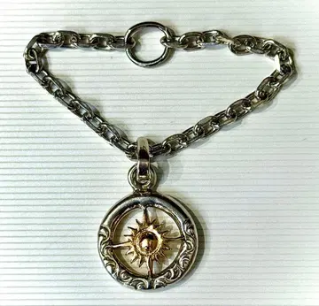 애리조나 프리덤 태양신