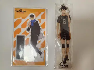 하이큐!! 카게야마 토비오 묶음 판매