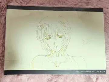 신세기 에반게리온 컬러 10주년 기념 원화 엽서 아야나미 레이