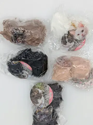 냥타마 마스코트 5종 세트 미개봉 새상품