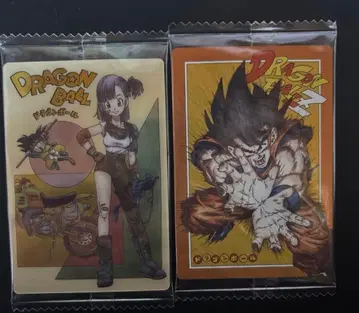 이타자가 드래곤볼 Vol.4 4-29.30