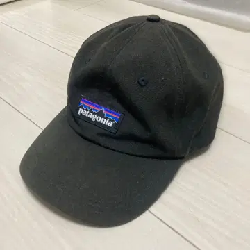 파타고니아 캡 블랙
