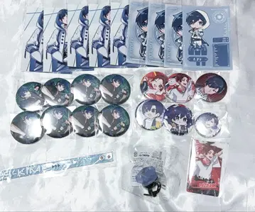 페스티벌 키메 나모나이 무챠 우타이테 캔뱃지 리지상 브로마이드