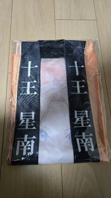 쥬오우세이난 학원 아이돌 마스터 The 1st Period 공식 법피