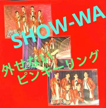 SHOW-WA 오리지널 브로마이드 외울 수 없는 핑키링 3장 세트