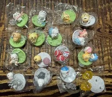 치이카와 초코 서플라이 컴프