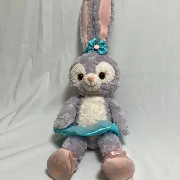 스텔라 루 S 사이즈 스커트, 신발 포함