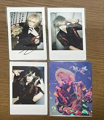 나방과 나비 카에데 씨 폴라로이드