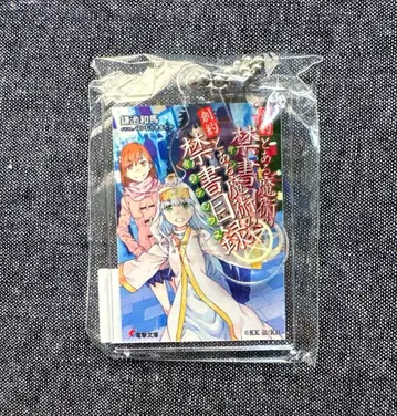 어떤 마술의 금서목록 가샤 도서 아크릴 키링