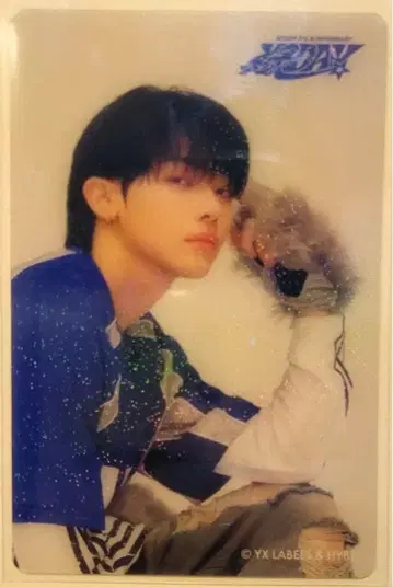 클리어 트레이딩 카드 그린Day