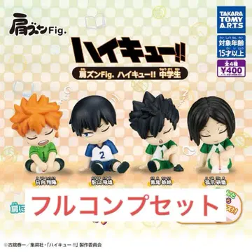 어깨 쿵 Fig. 하이큐!! 중학생 풀 세트 4종