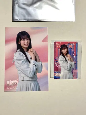 사쿠라자카46 신참자 이나쿠마 히나 폴라로이드풍 카드 & 엽서 세트