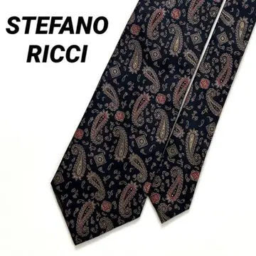 확인 ) STEFANO RICCI 스테파노 리치 넥타이 페이즐리 올 패턴