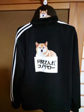 시바견 뭐 보냐 이 자식아 저지 L 사이즈 블랙