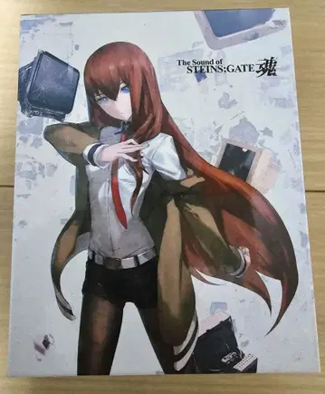 The Sound of STEINS;GATE혼