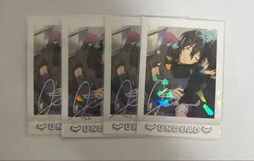 사쿠마 레이 금박