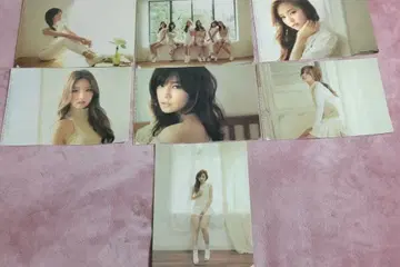 Apink 클리어 파일 세트